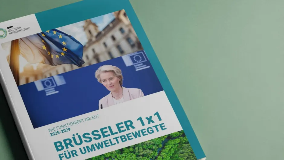 Broschüre "Brüsseler 1x1" auf einem grünen Hintergrund liegend